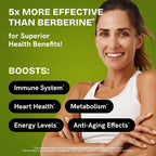 HealMeal Dihydroberberine Supplement - Berberine with Ceylon Cinnamon
