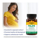 Country Life Folate 800 mcg Folic Acid - 100 Tablets - image 2