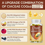 Ciaceae Ubiquinol CoQ10 600 MG Softgels with Omega-3 & Shilajit & PQQ