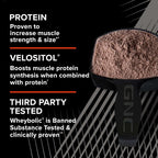 GNC AMP Wheybolic Clinically Proven Protein Powder