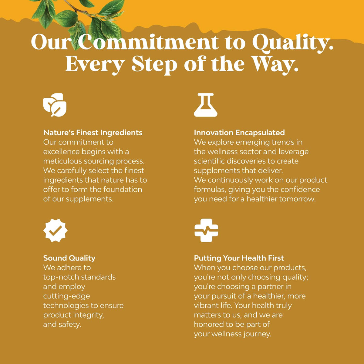 Natures Craft Irish Sea Moss Capsules with Bladderwrack & Burdock - 90 Capsules - image 4