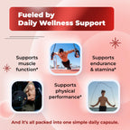 Sotalix Turkesterone Complex 8-in-1 with Maca & Tribulus - 150 Capsules - image 3