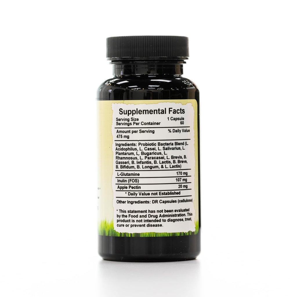 Wholistic Botanicals Probiotic Caps Digestive Health - 60 Capsules - image 2