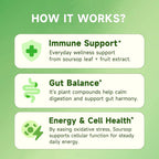 iMATCHME Soursop Graviola Liquid Drop for Cell Support & Regeneration