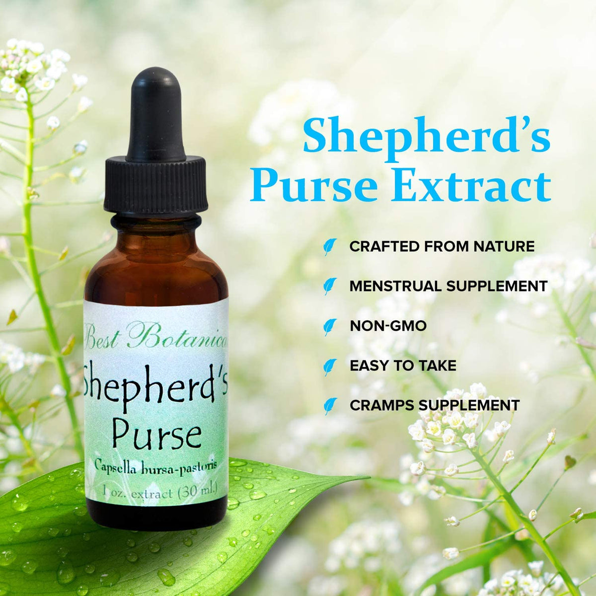 Best Botanicals Shepherd's Purse Extract - 1 Fl Oz - image 3