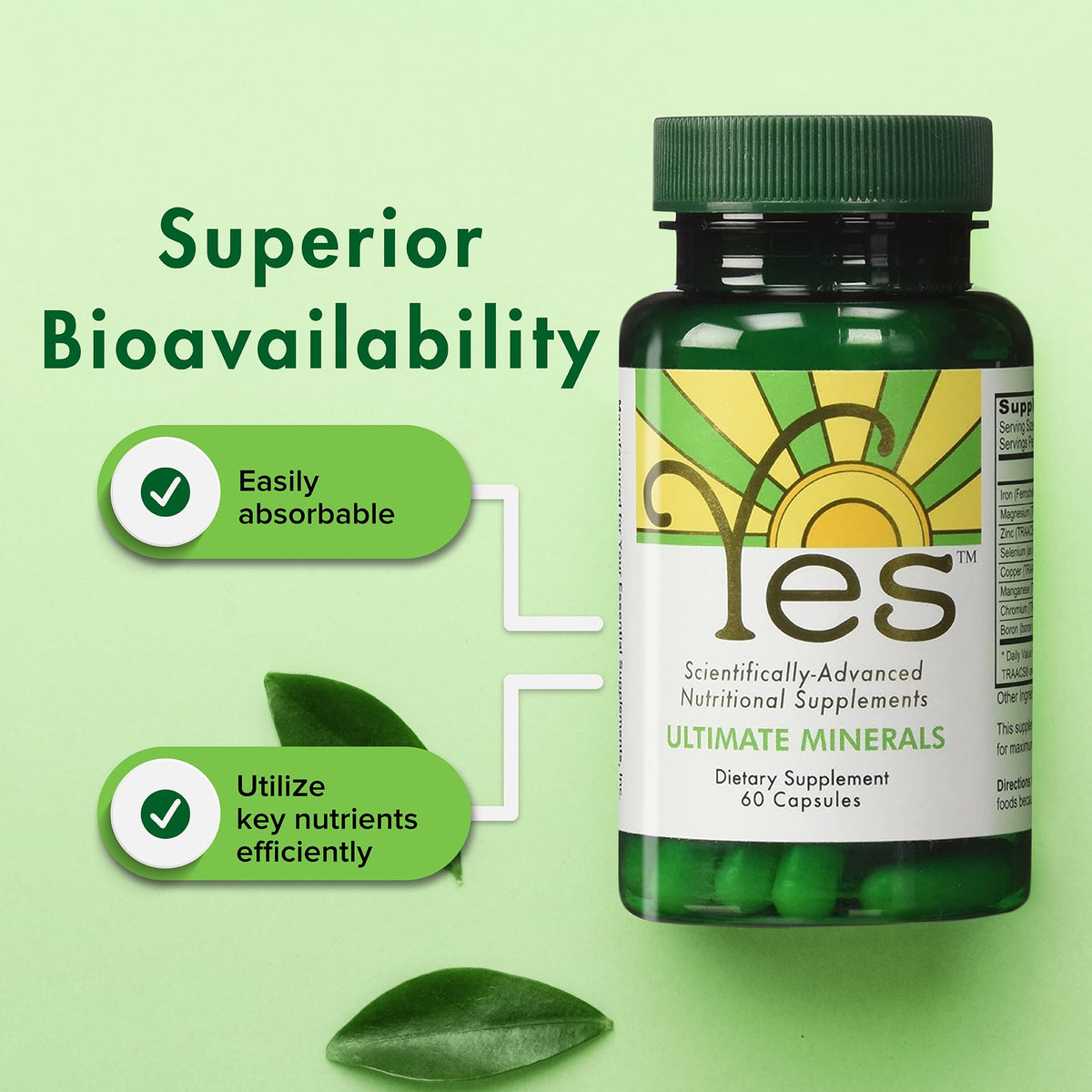 ULTIMATE EFAs Chelated Magnesium & Zinc Multimineral - 60 Capsules - image 4