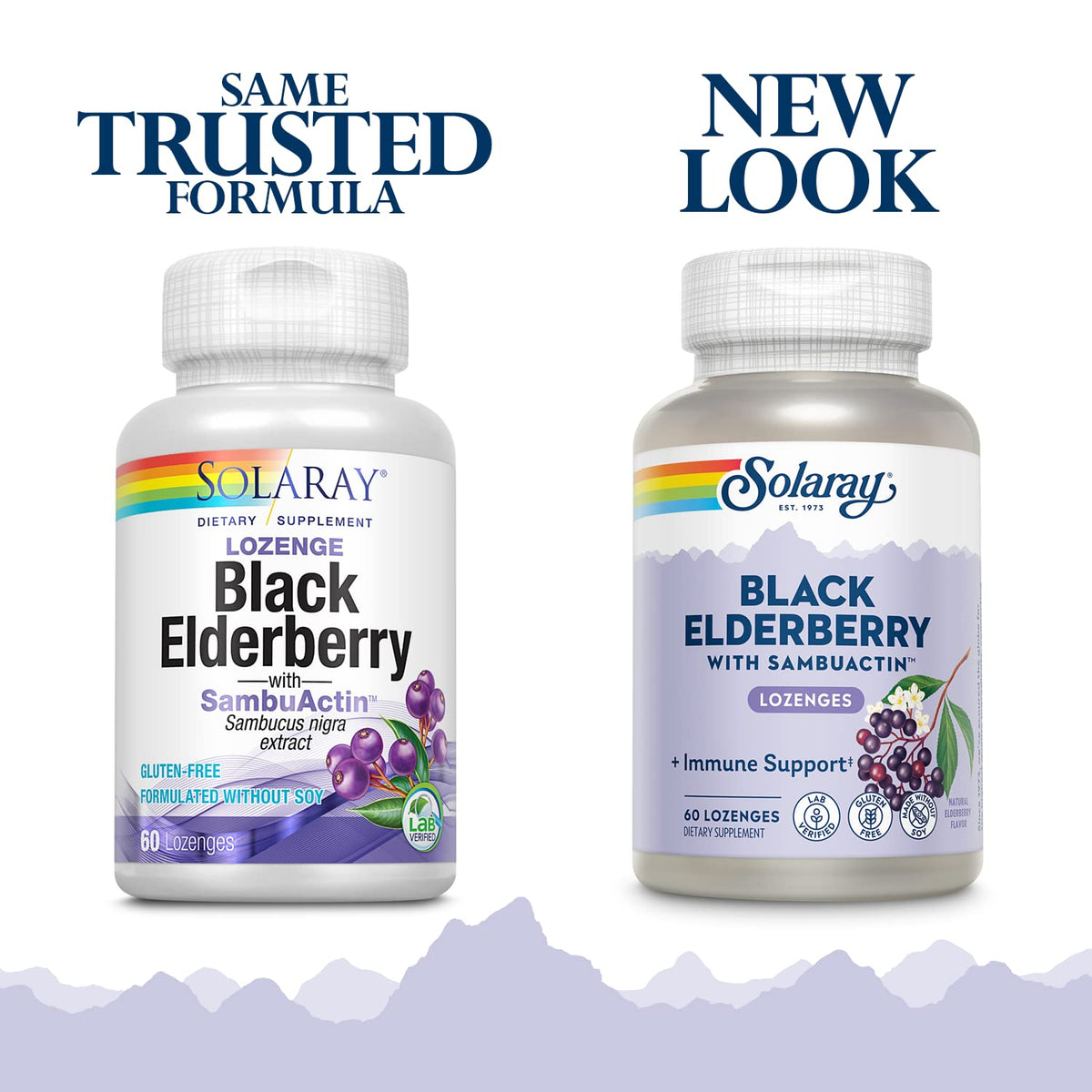 SOLARAY SambuActin Black Elderberry Extract Immune Support - 60 Lozenges - image 2