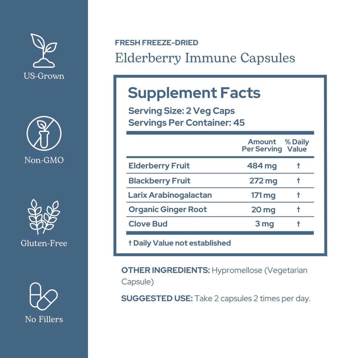 Eclectic Institute Elderberry Immune Capsules - 90 Count - image 2