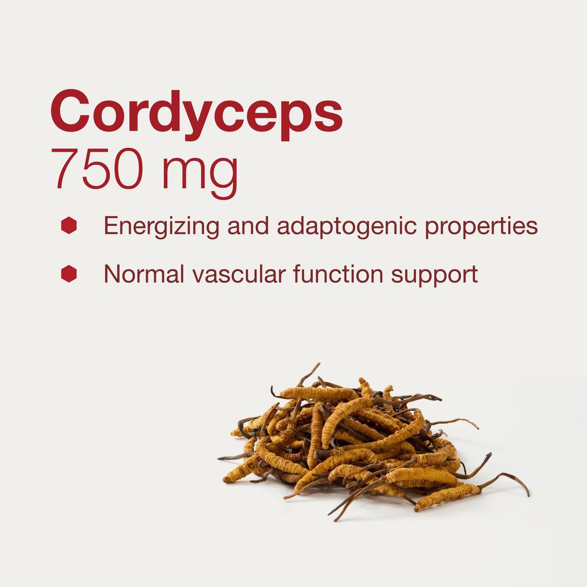 PROTOCOL FOR LIFE BALANCE Cordyceps 750 mg Immune Support - image 4