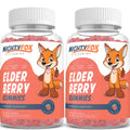 MIGHTY FOX VITAMINS Elderberry Gummies for Kids - 100 Count