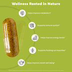 GoodlifePick Elderberry with ZINC