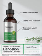 Horbäach Dandelion Root Extract Supplement - 2 fl oz - image 3
