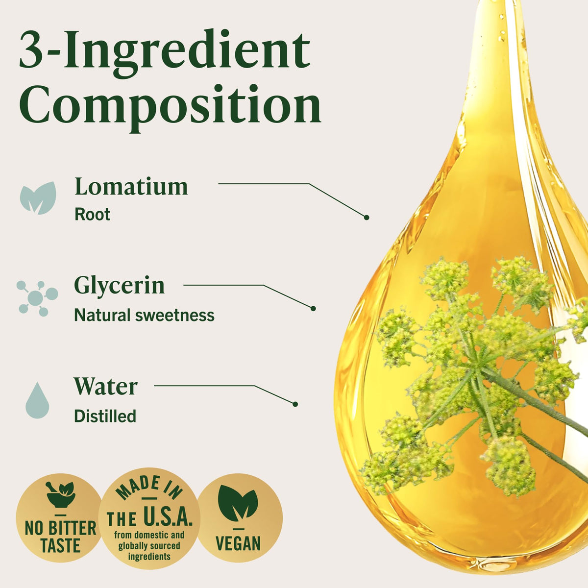 HERBAMAMA Lomatium Root Tincture for Lung Support - 2 Fl Oz - image 4