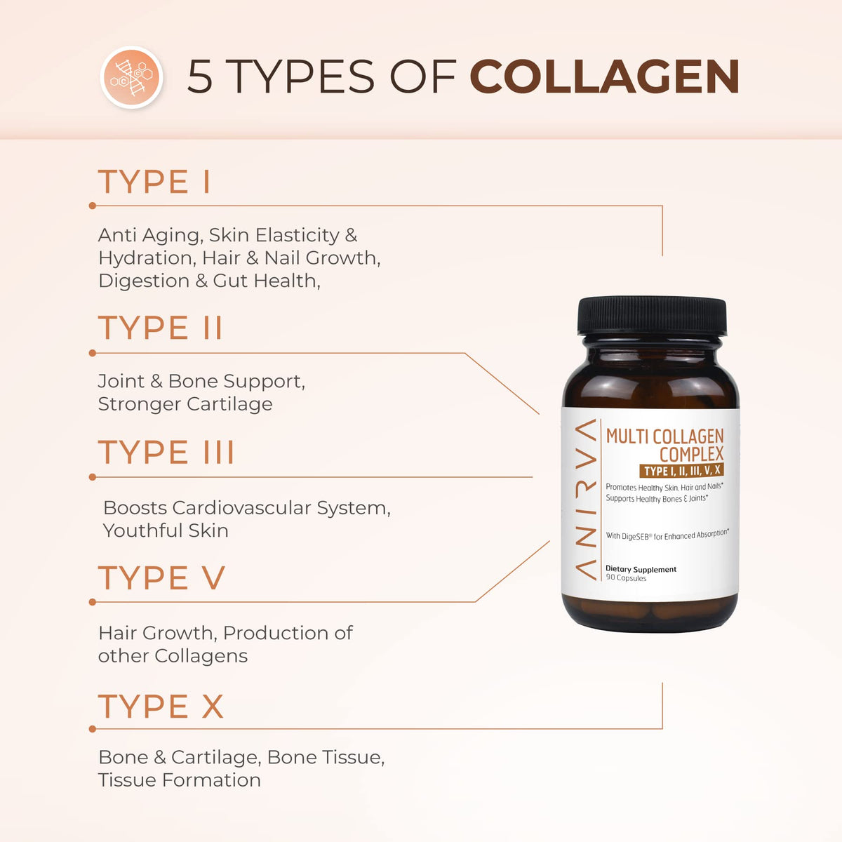 ANIRVA Multi Collagen Complex Types I II III V X - 90 Capsules - image 4