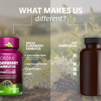 ORZAX Elderberry Capsules Immune Support - 60 Vegetarian Capsules - image 6