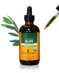 Herb Pharm Certified Organic Olive Leaf Liquid Extract for Immune Support