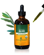 Herb Pharm Certified Organic Olive Leaf Liquid Extract for Immune Support