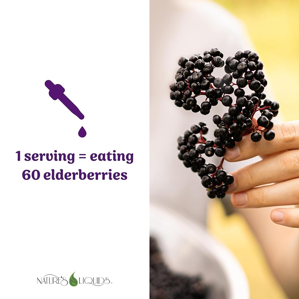 Nature's Liquids Organic Elderberry Syrup Sugar Free - 2 Fl Oz - image 2