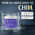 Generic Sea Moss Gel Organic Raw Original Gold - 8 oz - image 4