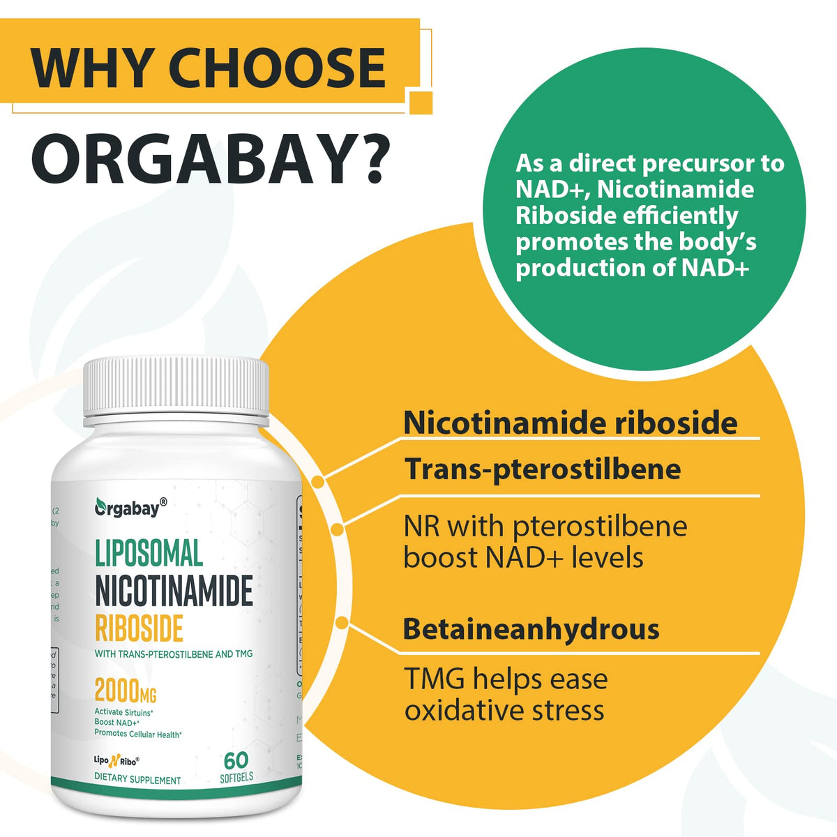 Orgabay Liposomal Nicotinamide Riboside 2000 MG with TMG