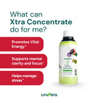 Univera Xtra Concentrate Vitamin B Complex Liquid - 33 fl oz - image 3