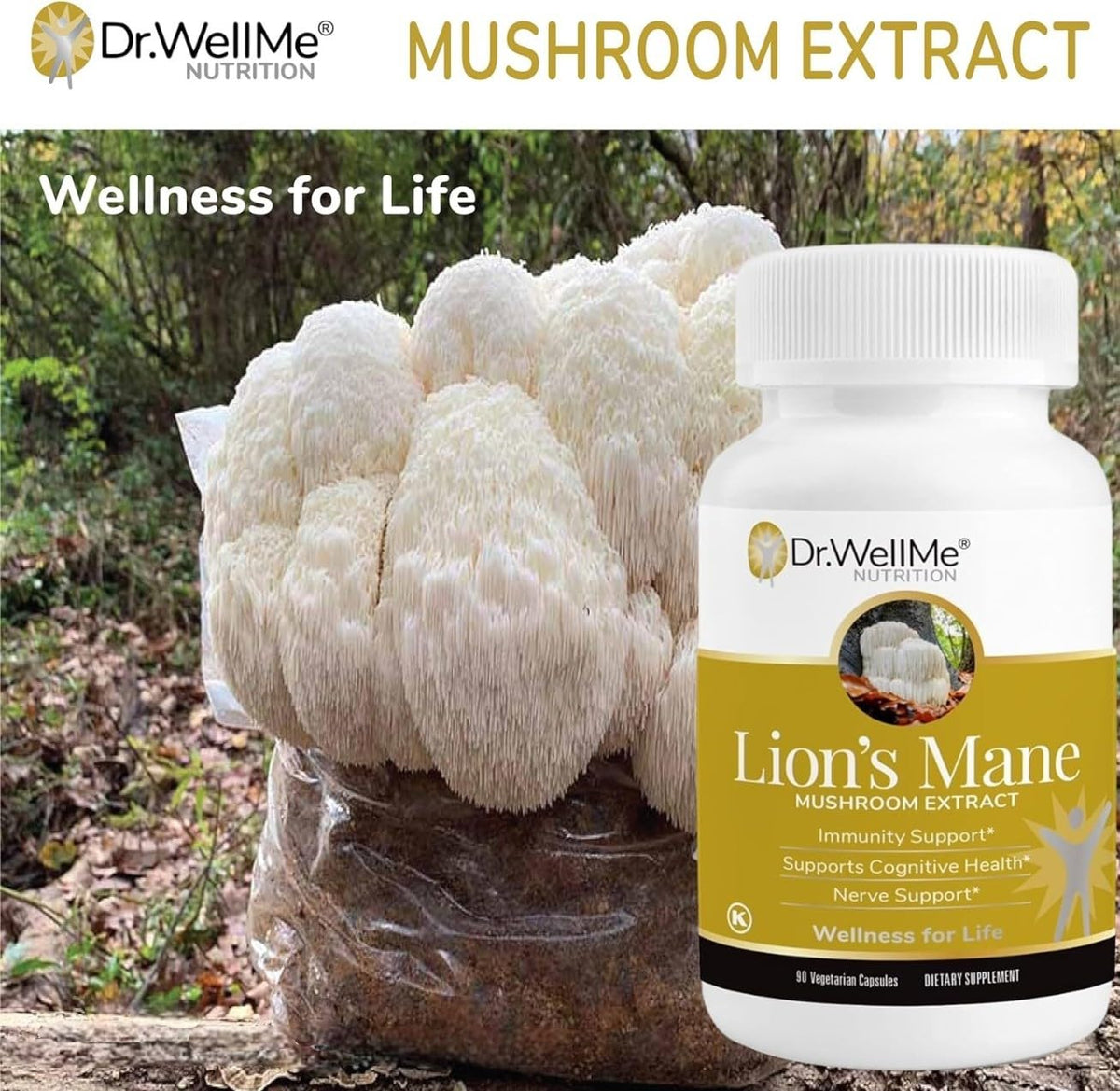 DR WELLME NUTRITION Lion's Mane Mushroom 500mg - 90 Capsules - image 3