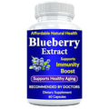 Heaven's Gate Blueberry Extract Antioxidant Support - 60 Capsules