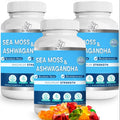 BIO VITALICA Sea Moss Ashwagandha Gummies for Women & Men