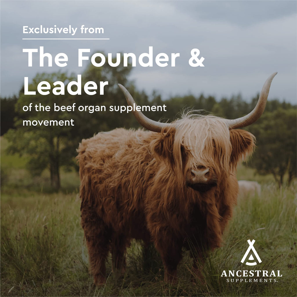Ancestral Supplements Gut Health