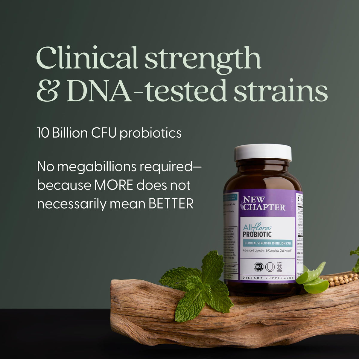 New Chapter Probiotic All-Flora - for Advanced Immune Support