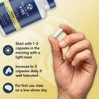 Balanced Vibe Brain Supplement 8 in 1 with Lion's Mane - 90 Capsules - image 7