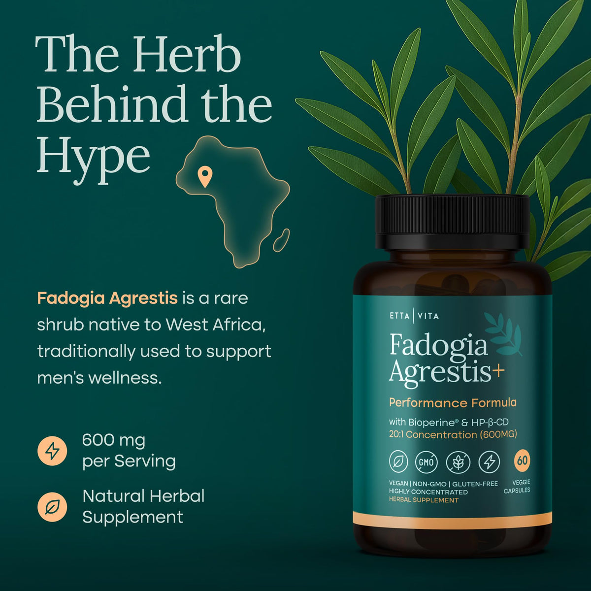Etta Vita Fadogia Agrestis 600mg Energy & Drive Support - 60 Capsules - image 2