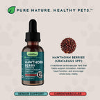 Animal Essentials Hawthorn Berry Supplement for Dogs & Cats - 1 fl Oz - image 4