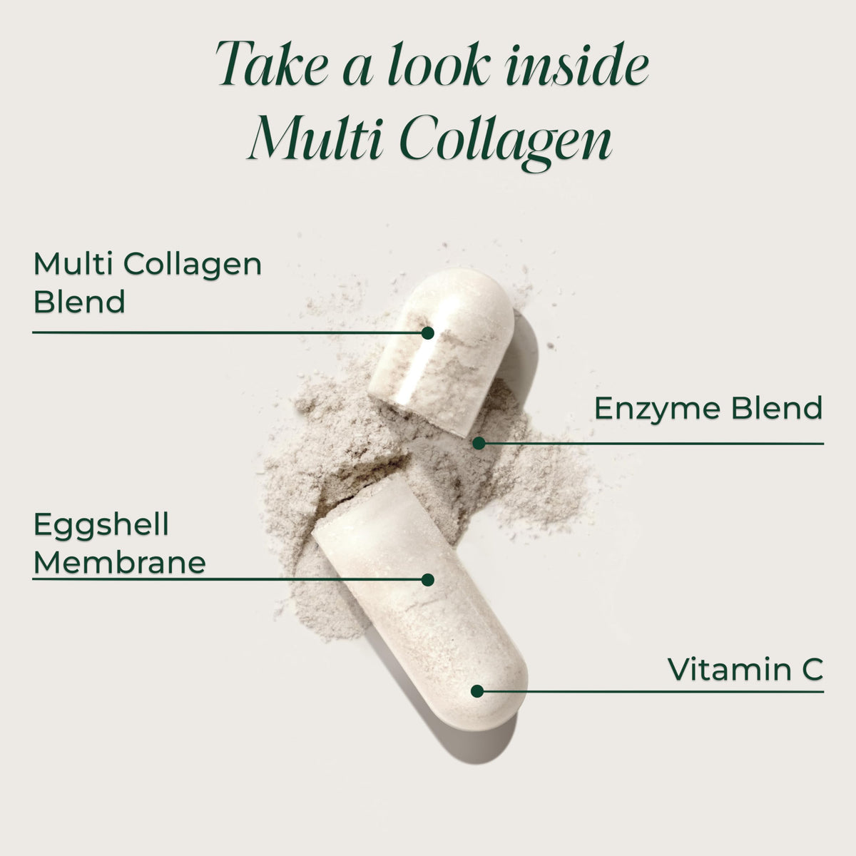 Primal Harvest Multi Collagen Daily Supplement - 120 Capsules - image 3