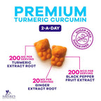 Nature's Nutrition Turmeric Gummies Joint Support - 60 Gummies - image 3