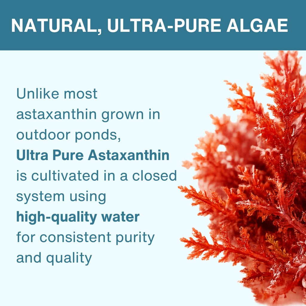 Igennus Ultra Pure Astaxanthin 4mg - 90 Softgels - image 3