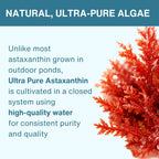Igennus Ultra Pure Astaxanthin 4mg - 90 Softgels - image 3
