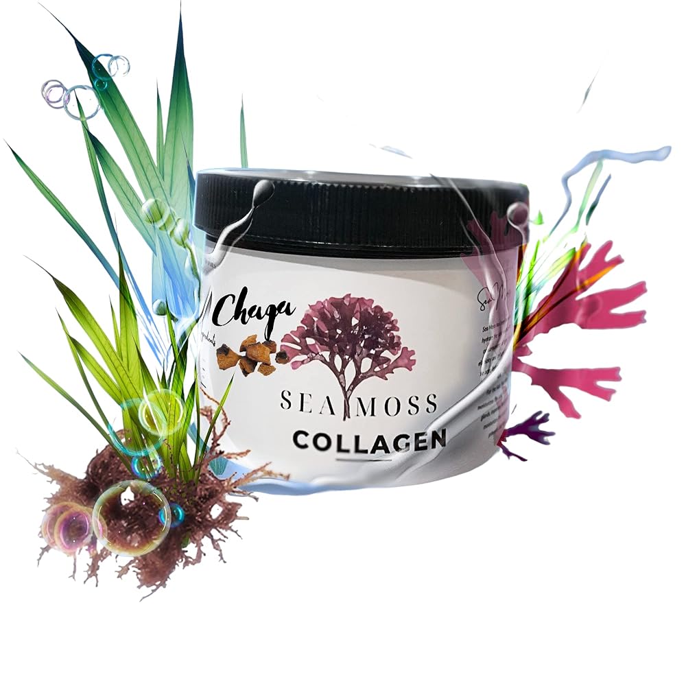 SEA MOSS COLLAGEN Hair & Skin Cream with Chaga - 8 oz