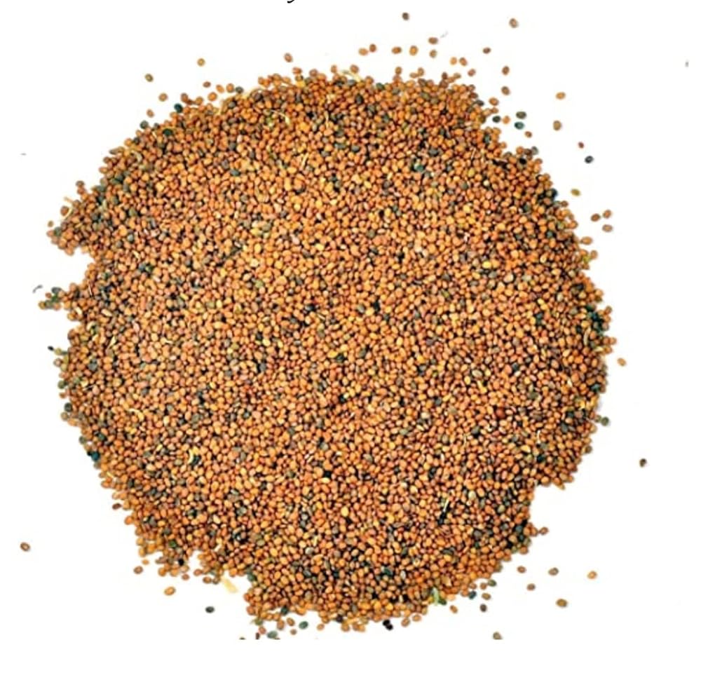 AYURVEM HERBS Taramira Seeds - 400g