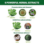 Fuenvegtal Cilantro Drops for Body Detox & Cleanse - image 4