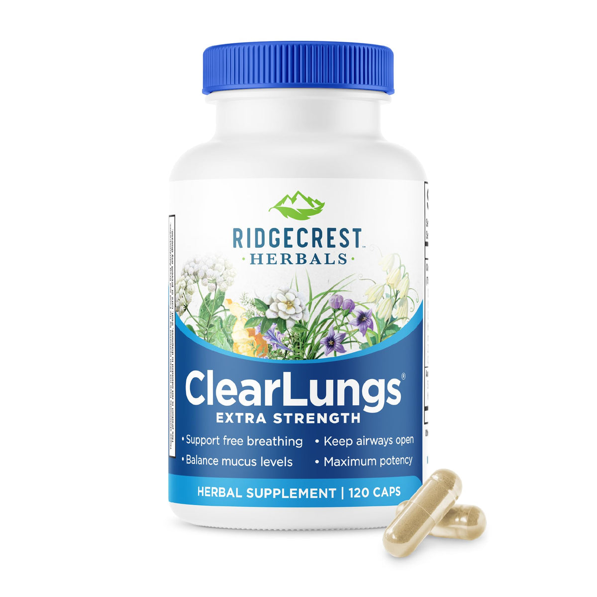 RidgeCrest Herbals ClearLungs Extra Strength