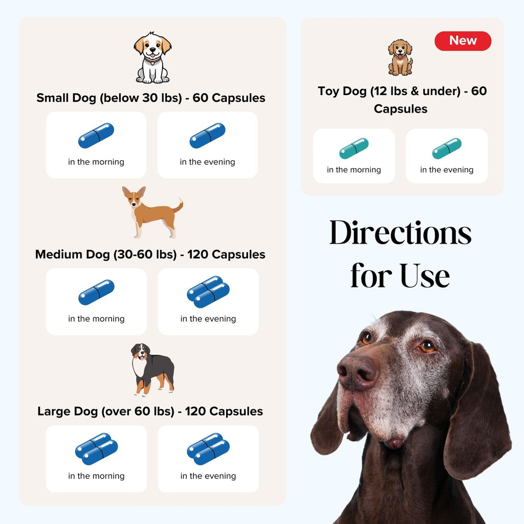 Dr. Fossum's Pet Care CogniCaps Dog Dementia Cognitive Support - 60 Capsules - image 7