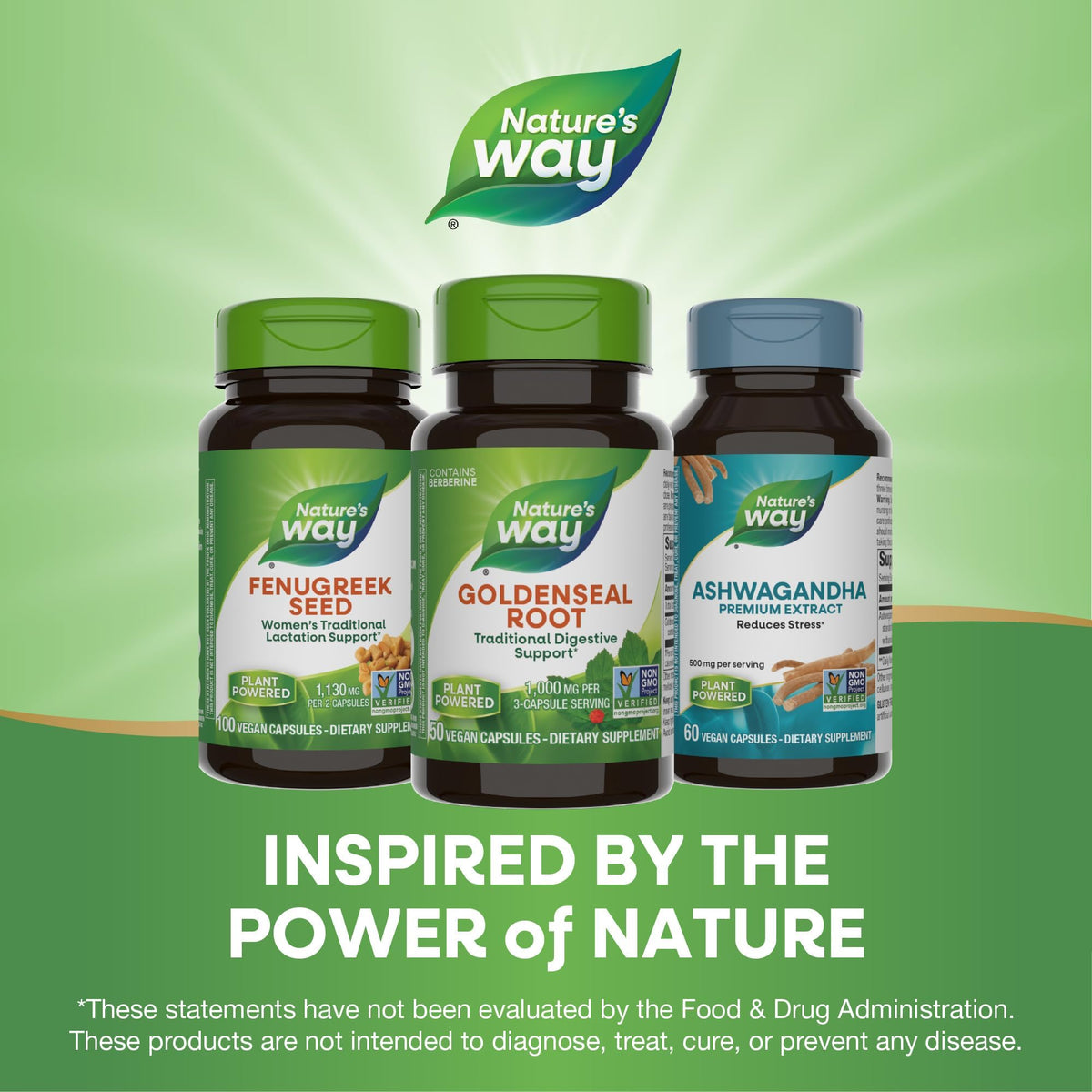 Nature's Way Goldenseal Root Digestive Support - 50 Capsules - image 7