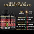 BMVINVOL Berberine Supplement Plus Ceylon Cinnamon - 180 Capsules - image 6