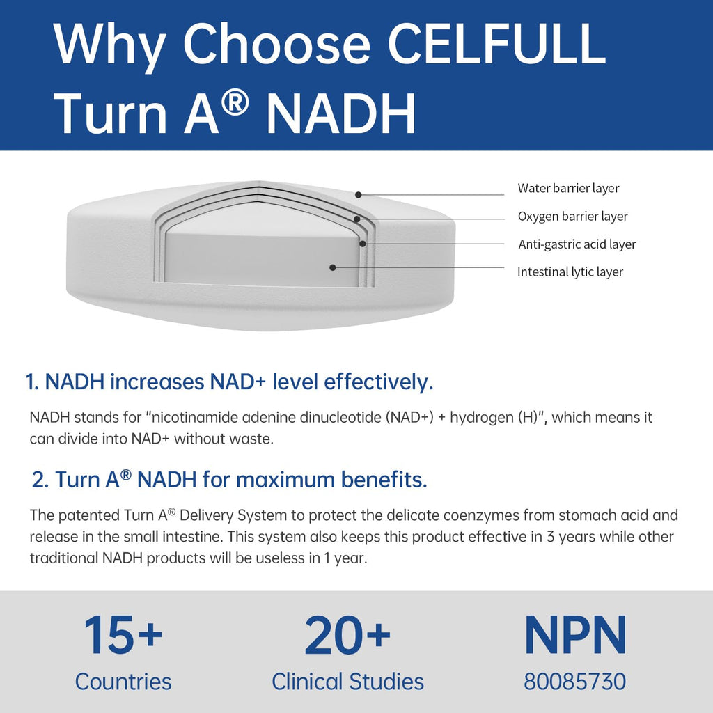 CELFULL NADH Supplement 20mg for Energy & Anti-Aging - 1 Tablets - image 3