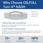 CELFULL NADH Supplement 20mg for Energy & Anti-Aging - 1 Tablets - image 3
