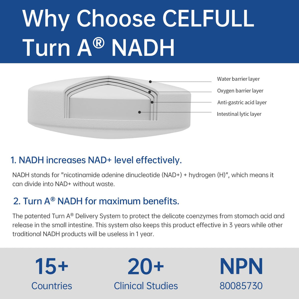 CELFULL NADH Supplement 20mg for Energy & Anti-Aging - 1 Tablets - image 3