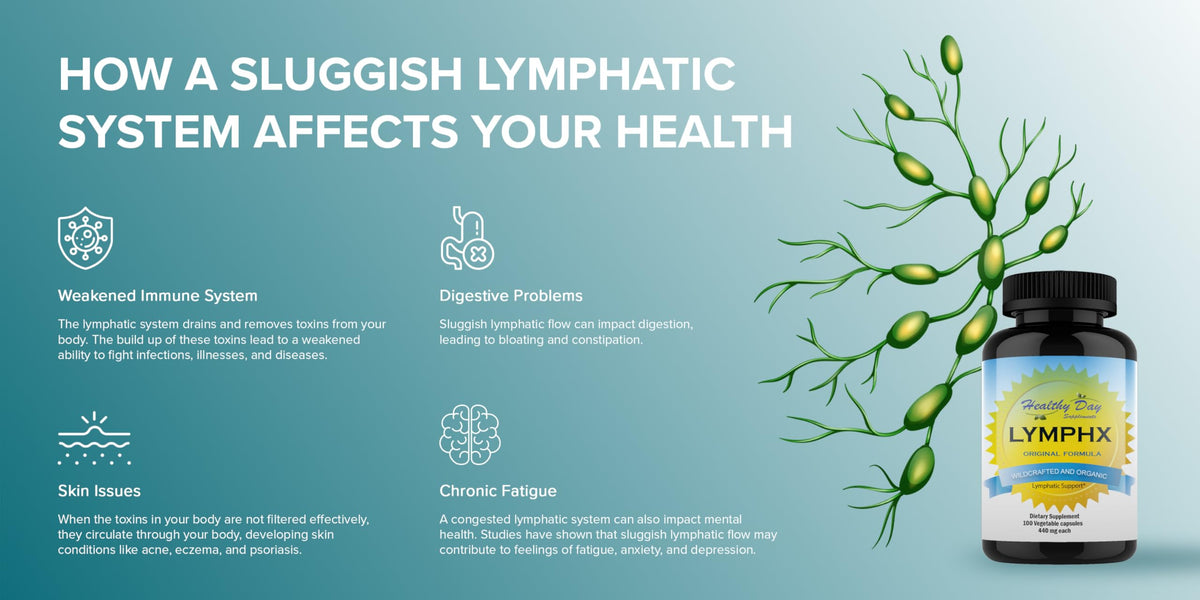 Healthy Day Supplements LYMPHX Immune Support - 100 Capsules - image 5