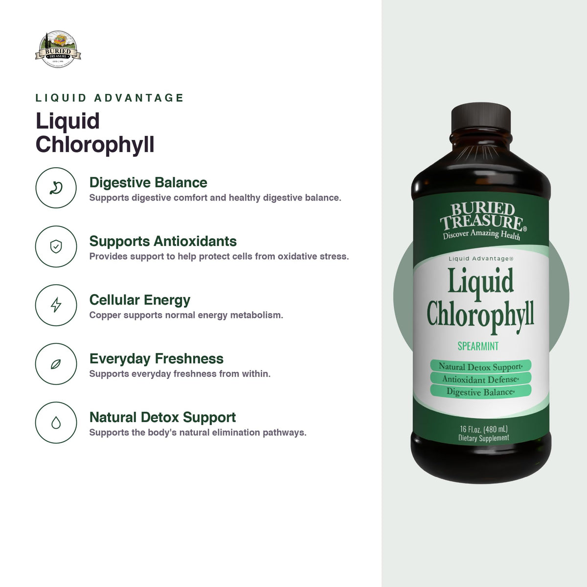 Buried Treasure Liquid Chlorophyll 100 mg Energy Support - 16 oz - image 3