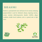 ayurvedix Brahmi Ark Herbal Supplement Syrup - 6.76 Fl Oz - image 3